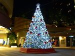 大阪夜景116：難波：なんばパークスのクリスマス