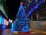 大阪夜景118：難波：なんばパークスのクリスマス