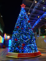 大阪夜景119：難波：なんばパークスのクリスマス
