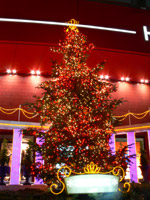 大阪夜景131：梅田：HEPのクリスマスツリー