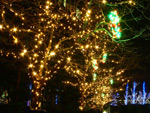 大阪夜景168：京橋：読売テレビ前のクリスマス