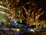 大阪夜景169：京橋：読売テレビ前のクリスマス