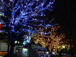 大阪夜景170：京橋：読売テレビ前のクリスマス