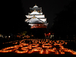 大阪夜景186：大阪城：城灯りの景