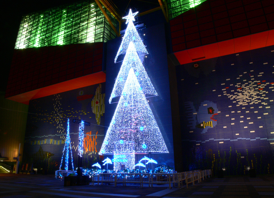 大阪 天保山ハーバービレッジ：ベイサイドクリスマスその５（海遊館のクリスマスイルミネーション２）