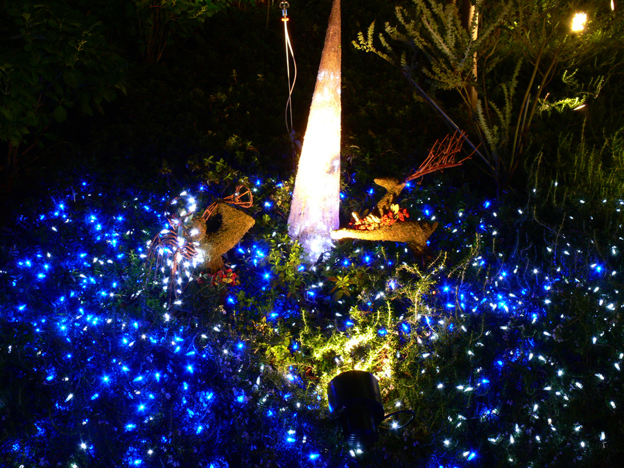 大阪 難波：なんばパークスのクリスマスオブジェ2