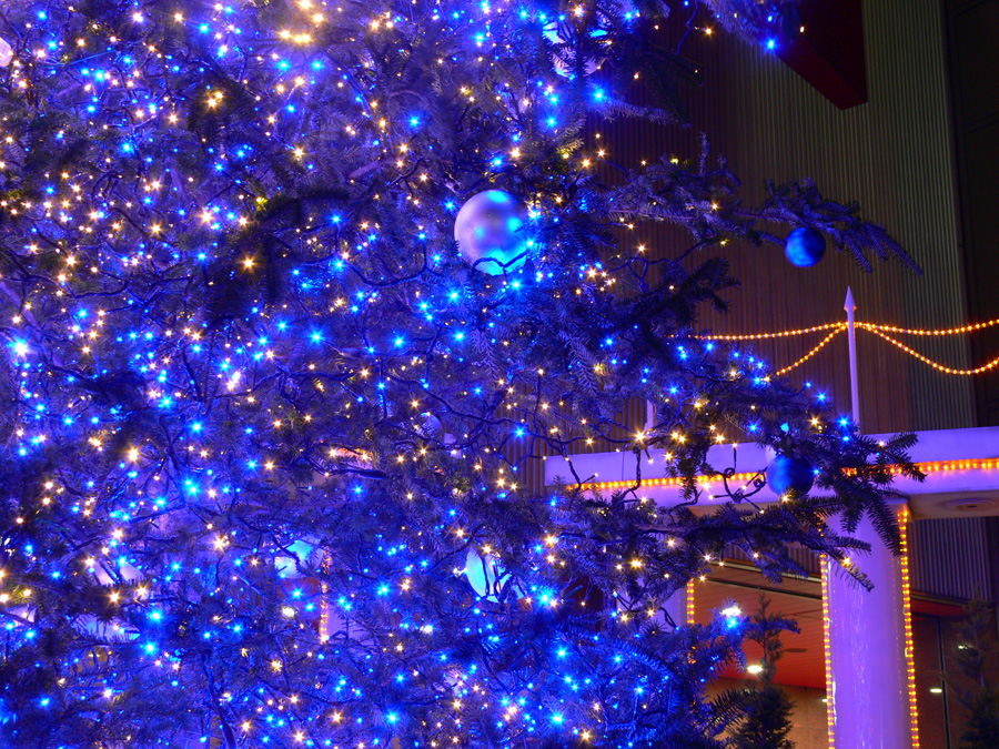 大阪 梅田：梅田HEPのクリスマスツリー2006