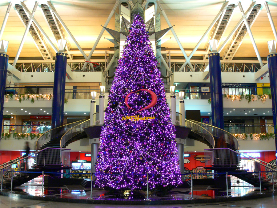 大阪 南港：WTC（ワールドトレードセンター）のクリスマスツリー１