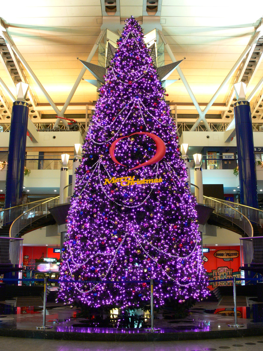 大阪 南港：WTC（ワールドトレードセンター）のクリスマスツリー２
