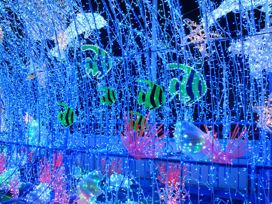 大阪 天保山：アクアサーフィン4 ベイサイドクリスマス2007 天保山ハーバービレッジ